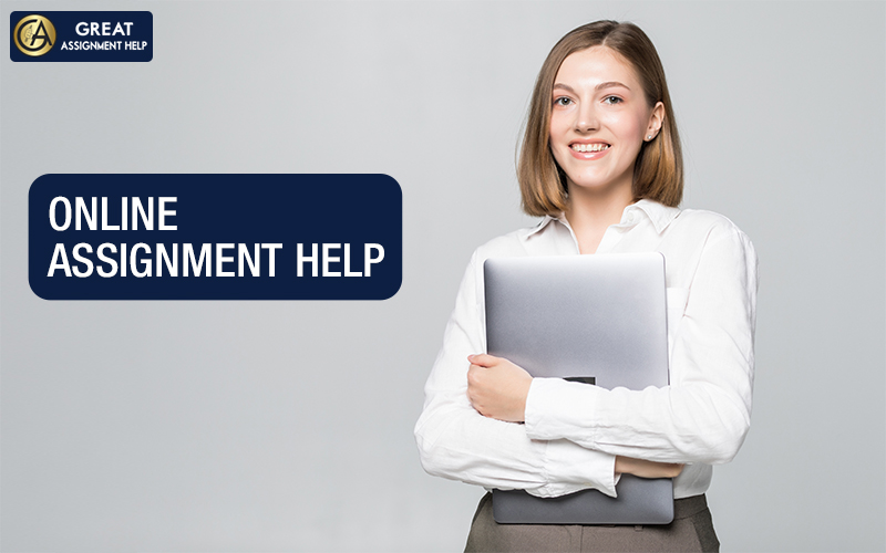 <strong>Get Assignment Help Online In USA Through Our Experts</strong>