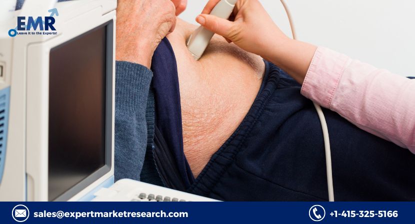 Global Portable Ultrasound Market Share, Price, Trends, Growth, Analysis, Key Players, Outlook, Report, Forecast 2023-2028