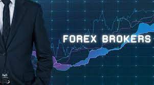 <strong>  Tips to Choose the Best Forex Brokers</strong>