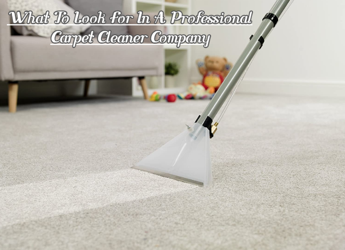 <strong>What To Look For In A Professional Carpet Cleaner Company</strong>