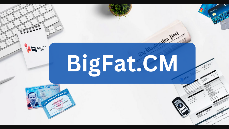 From Beginner to Expert: BigFat Platform for Your Carding Needs