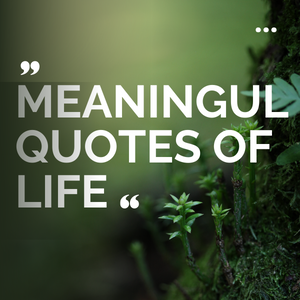Meaningful Quotes of Life That Will Bring Inspiration